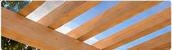 Open Roof